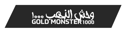 Konya Minelab Gold Monster 1000 - Gold Monster 1000 küçük altın dedektörü